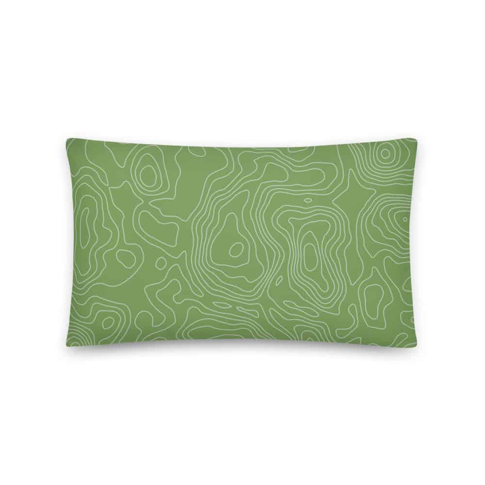 all-over-print-basic-pillow-20x12-front-60de134ce682b.jpg
